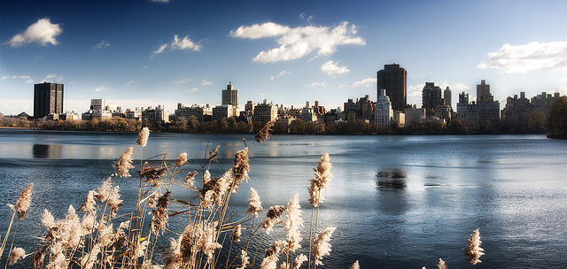 Photo du lac de Central Park, New York