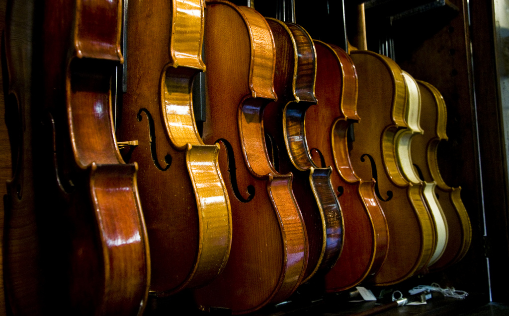 Photo de plusieurs violons