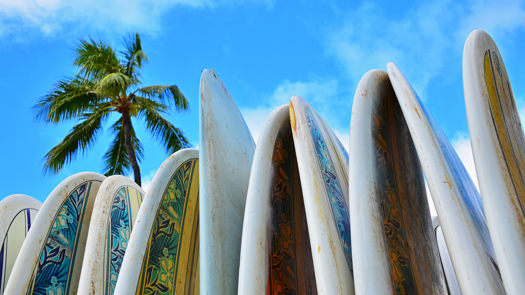 plusieurs planches de surf collées les unes aux autres