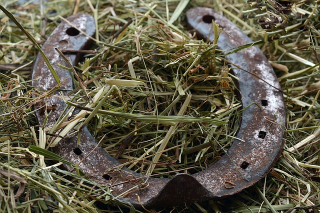 Un fer à cheval dans la paille.